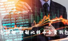 比特币全量钱包详解：理解比特币全量