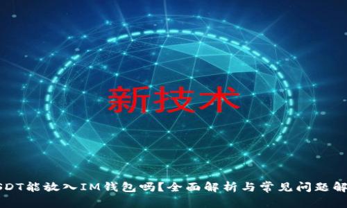 USDT能放入IM钱包吗?全面解析与常见问题解答
