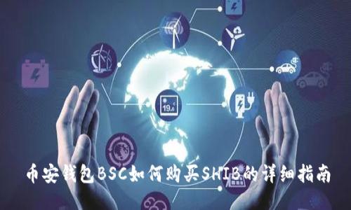 币安钱包BSC如何购买SHIB的详细指南