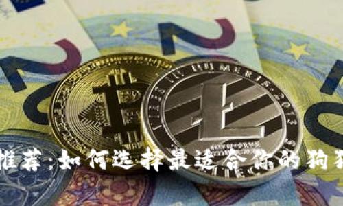 狗狗币钱包推荐:如何选择最适合你的狗狗币储存方式