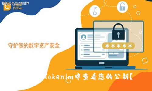 如何在Tokenim中查看您的公钥？