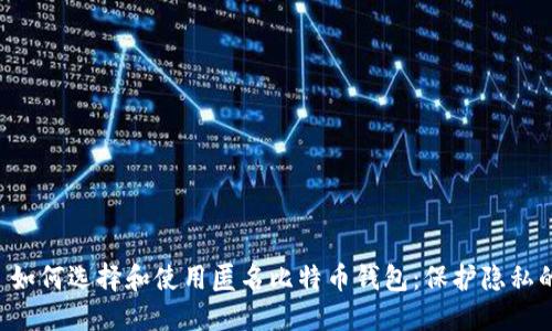 精彩 如何选择和使用匿名比特币钱包：保护隐私的指南