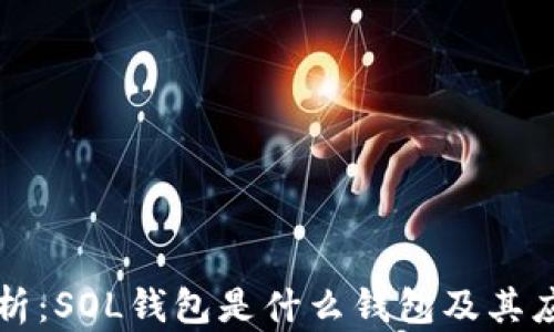 深入解析:SOL钱包是什么钱包及其应用前景