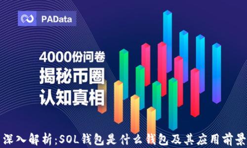 深入解析:SOL钱包是什么钱包及其应用前景