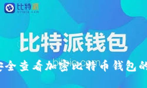 如何安全查看加密比特币钱包的私钥?