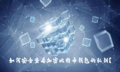 如何安全查看加密比特币钱包的私钥？