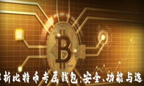 全面解析比特币专属钱包:安全、功能与选择指南