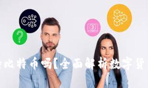 小狐狸钱包支持比特币吗?全面解析数字货币钱包使用体验