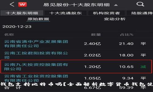 小狐狸钱包支持比特币吗?全面解析数字货币钱包使用体验