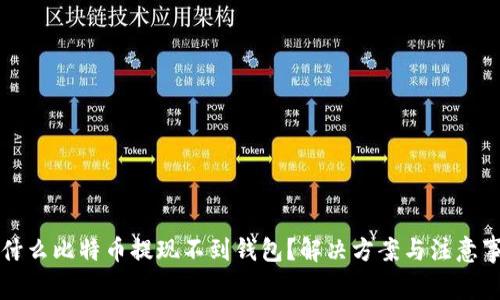 为什么比特币提现不到钱包？解决方案与注意事项