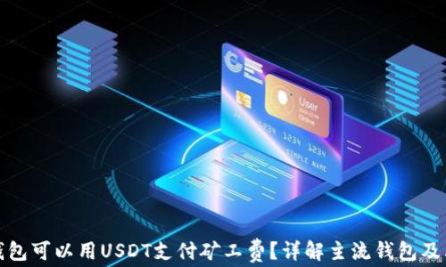 
哪个钱包可以用USDT支付矿工费？详解主流钱包及其优劣