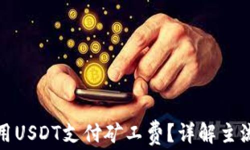 
哪个钱包可以用USDT支付矿工费？详解主流钱包及其优劣