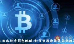   被遗忘的比特币钱包地址：如何查找