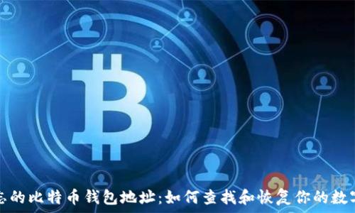 被遗忘的比特币钱包地址:如何查找和恢复你的数字资产