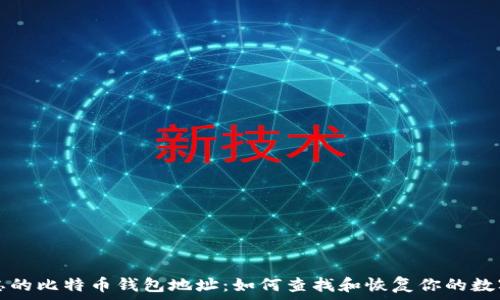 被遗忘的比特币钱包地址:如何查找和恢复你的数字资产