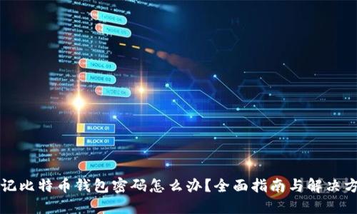 忘记比特币钱包密码怎么办?全面指南与解决方案