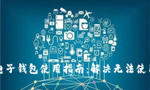 泰达币电子钱包使用指南:解决无法使用的问题