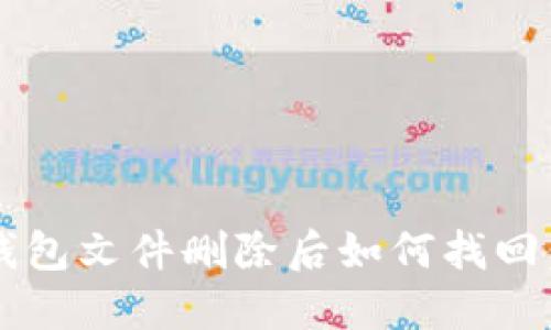 比特币钱包文件删除后如何找回:全面指南