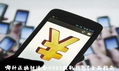 哪种区块链适合USDT提取钱包?全面指南