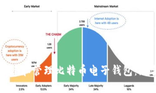 如何创建和管理比特币电子钱包:新手指南