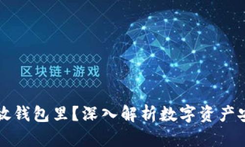 为什么要把屎币放钱包里?深入解析数字资产安全性与投资价值