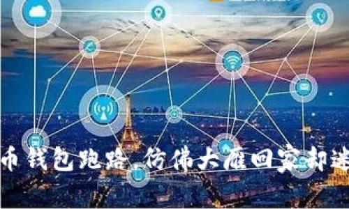 比特币钱包跑路,仿佛大雁回家却迷了路