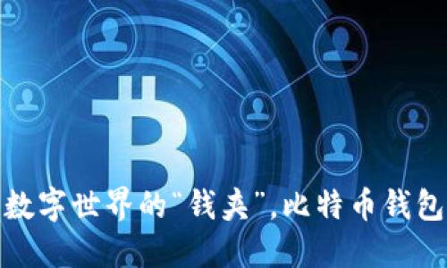 比特币钱包:数字世界的“钱夹”,比特币钱包长得像什么?