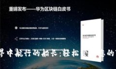 “在加密世界中航行的船长：轻松管理