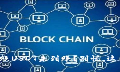 比特派钱包转账USDT未到账？别慌，这里有解决方案！