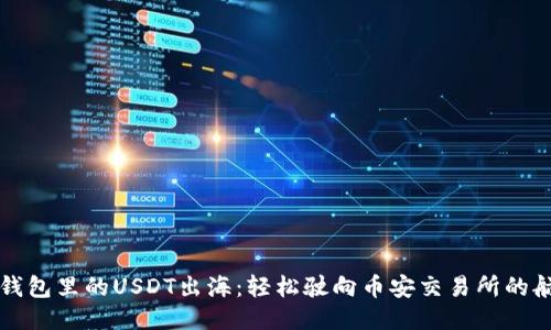“TP钱包里的USDT出海:轻松驶向币安交易所的航程”