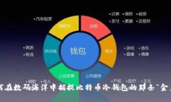 如何在数码海洋中捕捉比特币冷钱包的