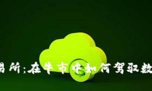 以太坊钱包交易所:在牛市中如何驾驭数字货币的浪潮?