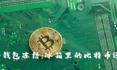 比特币冷钱包冻结：冰箱里的比特币还