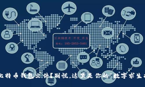 丢了比特币钱包文件?别慌,这里是你的“数字求生指南”!