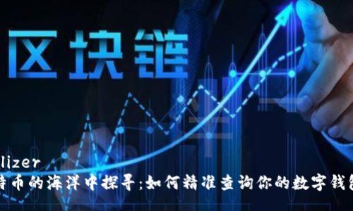 serializer
在比特币的海洋中探寻:如何精准查询你的数字钱包余额