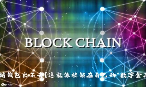 以太坊钱包出不去?这就像被锁在自己的“数字金库”里!