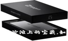 “钱包里的SHIB，像埋在沙滩上的宝藏