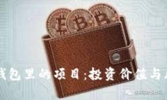 以太坊钱包里的项目：投资价值与风险