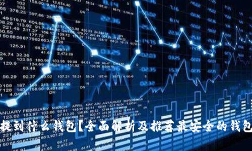 屎币提到什么钱包？全面解析及推荐最安全的钱包方案