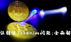 如何解决BCH误转进Tokenim问题：全面解