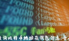如何查询比特币地址及钱包信息：全面