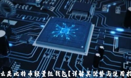 
什么是比特币轻量级钱包？详解其优势与使用指南