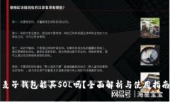 麦子钱包能买SOL吗？全面解析与使用指