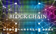 如何安全导入比特币钱包私钥：全面指