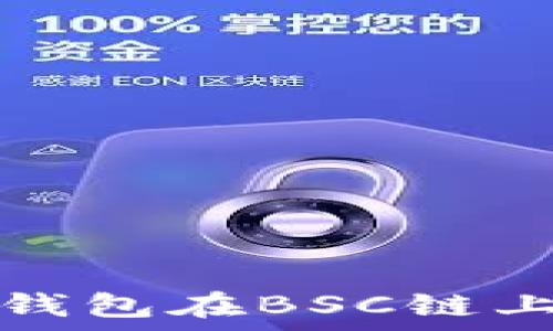   
全面解析TP钱包在BSC链上的交易操作