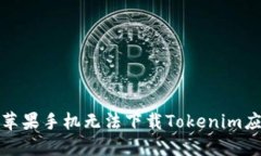 如何解决苹果手机无法下载Tokenim应用