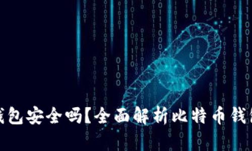 存比特币钱包安全吗？全面解析比特币钱包的安全性