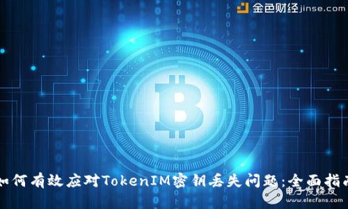 如何有效应对TokenIM密钥丢失问题：全面指南