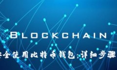 如何安全使用比特币钱包：详细步骤与