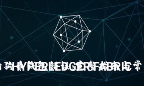 如何解决狗狗币钱包错误：完整指南与常见问题解析